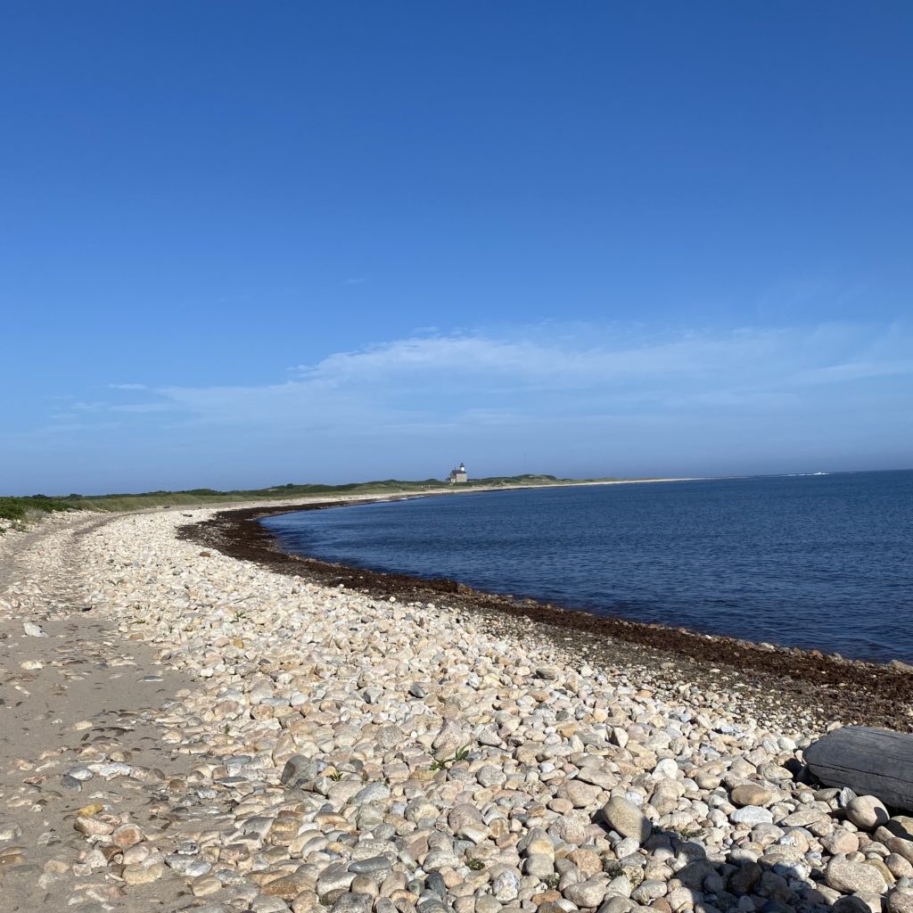 How Jeremy Saved My Vacation, Summer of 2020